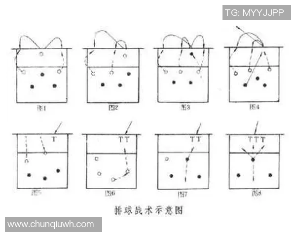 广州排球队反击战术分析与赛季表现的得失评估