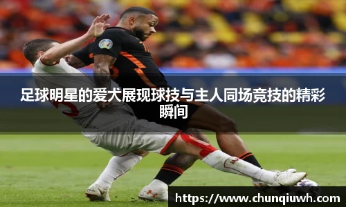 k1体育十年品牌值得信赖